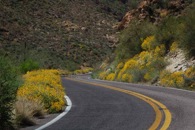 The Superstition Mtns